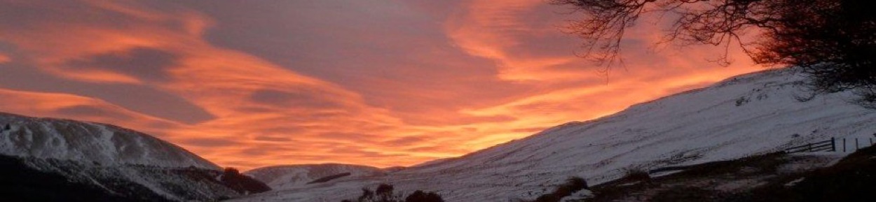 Winter sky