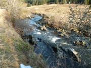 Ettrick Water at Cossarshill